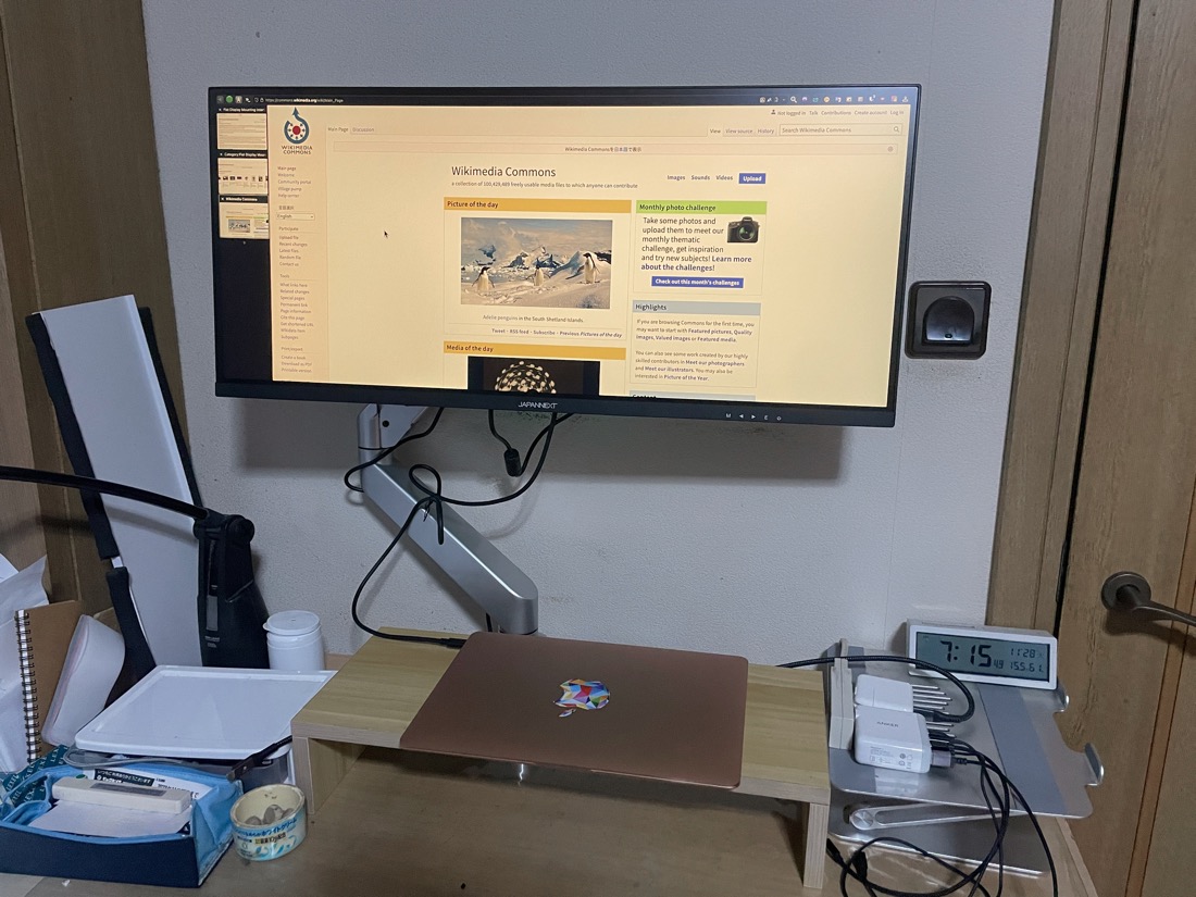 VESA monitor arm holding an ultrawide display