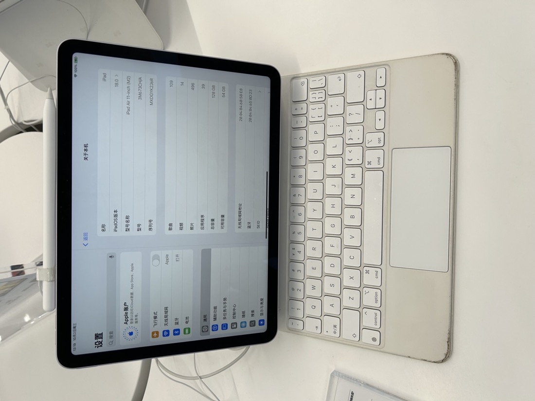 reMarkable vs iPad for PDF